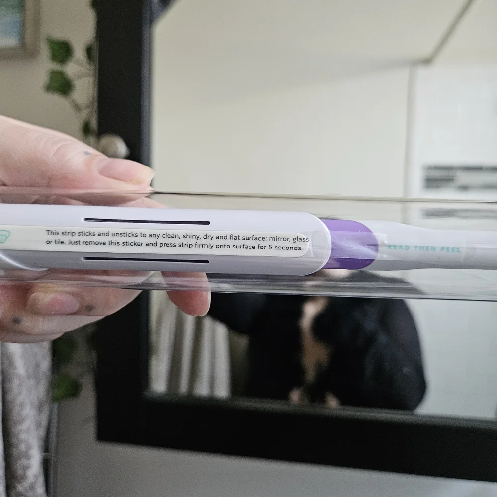 quip Kids Electric Toothbrush — Purple
